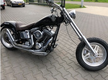 Quad Harley-Davidson Santiago Chopper: das Bild 1