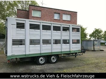 Tiertransporter Anhänger Stehmann 2 Stock: das Bild 1