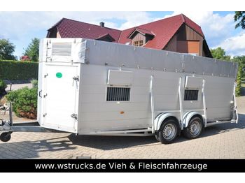 Blomert Einstock Vollalu 5,70 m  - Tiertransporter Anhänger