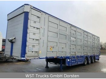 Tiertransporter Auflieger Michieletto 4Stock  Vollausstattung Hubdach: das Bild 1