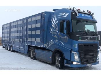 Tiertransporter Auflieger Für die Beförderung von Tiere neu kaufen New PLAVAC 3+4: das Bild 1