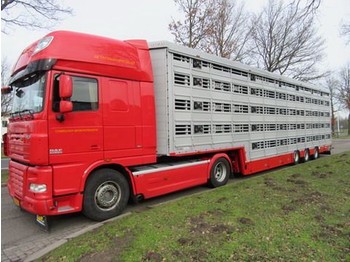 Tiertransporter Auflieger neu kaufen Pezzaioli SBA**: das Bild 1