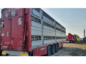 Tiertransporter Auflieger Pezzaioli SBA-63, 3Stock: das Bild 1