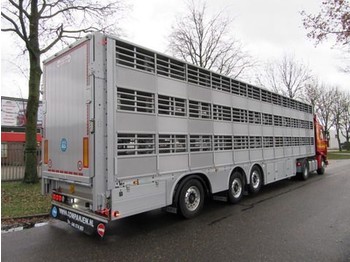 Tiertransporter Auflieger neu kaufen Pezzaioli SBA 63 S: das Bild 1