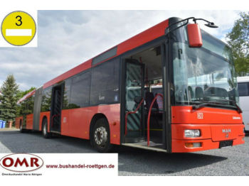 Linienbus MAN A23/Lion's City / 530 G / Citaro / Klima: das Bild 1