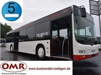 Linienbus MAN A 21 / Lion's City / 530 / Citaro / Euro EEV: das Bild 1