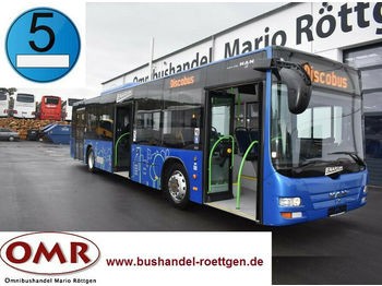 Linienbus MAN A 21 Lion´s City / O 530 / A 20 / 3 türig /Klima: das Bild 1