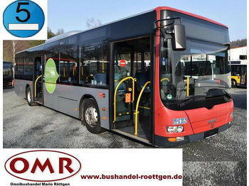 Linienbus MAN A 37 Lion´s City/A20/A21/530/Citaro: das Bild 1