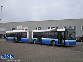 Linienbus MAN NG 363, A 23, Euro 3, Klima, 57 Sitze: das Bild 1