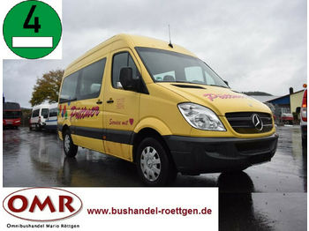 Kleinbus, Personentransporter Mercedes-Benz 906 AC 30 Sprinter: das Bild 1