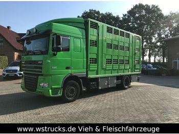 Tiertransporter LKW DAF 105 / 460 Menke 3 Stock: das Bild 1