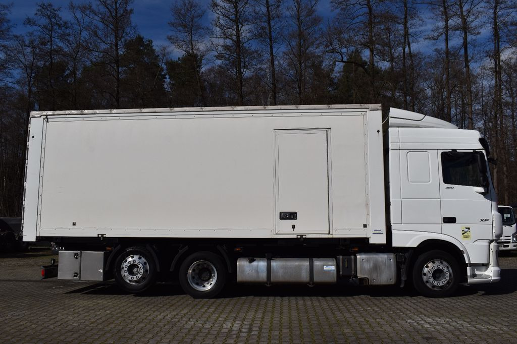 Koffer LKW DAF XF 480 BL SC 6x2/ACC,Portaltür,Retarder,ALCOA,E6: das Bild 10