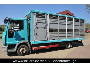 Tiertransporter LKW Iveco 10180: das Bild 1