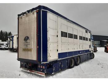 Tiertransporter LKW Menke Janzen djurtransportbyggnation: das Bild 1