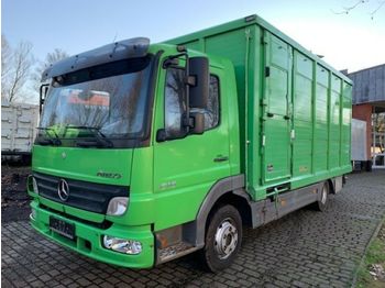 Tiertransporter LKW Mercedes-Benz 818 L Menke Einstock Vollalu: das Bild 1