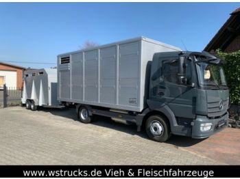 Tiertransporter LKW Für die Beförderung von Tiere Mercedes-Benz 821L" Neu" WST Edition" Menke Einstock Vollalu: das Bild 1
