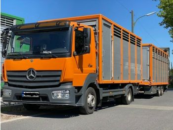 Tiertransporter LKW Mercedes-Benz 824L Einstock Vollalu: das Bild 1