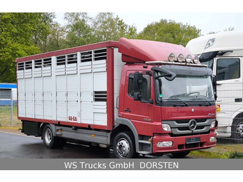 Mercedes-Benz Atego 1329  4x2  KA-BA Viehtransporter Großvieh  - Tiertransporter LKW: das Bild 1