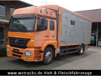 Tiertransporter LKW Mercedes-Benz  Axor 1833 2 Stock Michieletto: das Bild 1