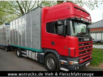 Tiertransporter LKW Scania 164/580 164/580Topline 2 Stock: das Bild 1