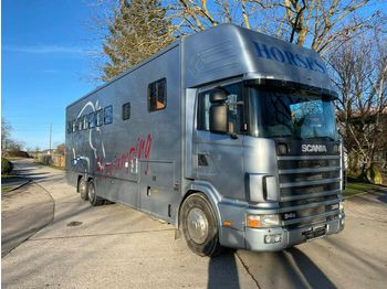Tiertransporter LKW Scania Pferdetransporter: das Bild 1