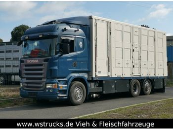 Tiertransporter LKW Scania  R 560 V8 Highline Menke 3 Stock Vollalu: das Bild 1