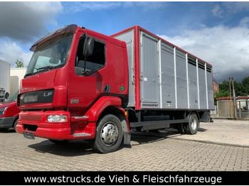 Tiertransporter LKW DAF LF 55 Einstock KABA