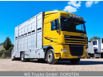 DAF XF 410 SC Menke Doppelstock  - Tiertransporter LKW