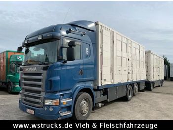 Tiertransporter LKW Scania R 560 V8 Highline Menke 3 Stock Vollalu