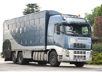 Tiertransporter LKW Volvo FH12/500 3 STOCK CUPPERS!!: das Bild 1