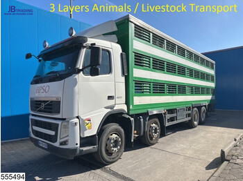 Tiertransporter LKW Volvo FH13 420 8x4, 3 Layers Animals Livestock Transport: das Bild 1