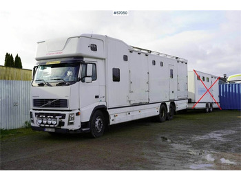 Pferdetransporter Volvo FH 400 6*2 Horse transport with room for 9 horses: das Bild 2