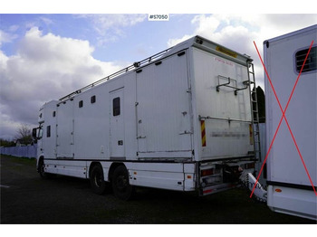 Pferdetransporter Volvo FH 400 6*2 Horse transport with room for 9 horses: das Bild 3