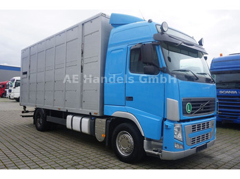Tiertransporter LKW Volvo FH 430 LL Globe *Menke-2-Stock / AHK / LED: das Bild 1