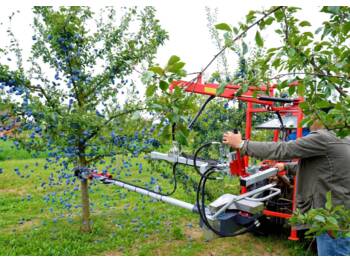  Jagoda otrząsarka do owoców pestkowych - Erntemaschine