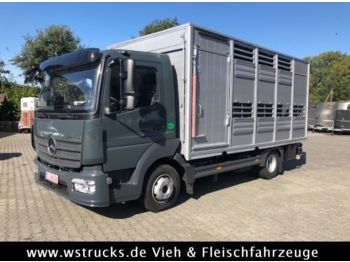 Koffer transporter Mercedes-Benz 821L" Neu" gebr. Finkl Einstock Vollalu
