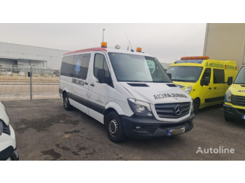 Mercedes-Benz SPRINTER 313CDI AMBULANCIA - Krankenwagen: das Bild 1