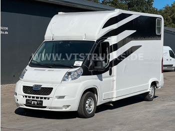 Peugeot Boxer 250 L 2.Pferdetransporter - Pferdetransporter: das Bild 1