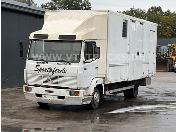 Mercedes-Benz 814 Pferdetransporter - Pferdetransporter: das Bild 1