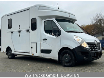 Renault Master Paragan 5 Sitze Hengstausstattung - Pferdetransporter: das Bild 1