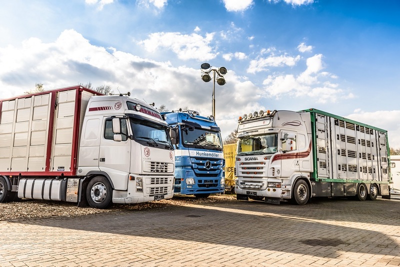 WS Trucks GmbH - Angebote zu verkaufen undefined: das Bild 1