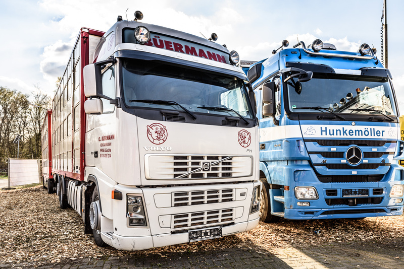 WS Trucks GmbH - Angebote zu verkaufen undefined: das Bild 2