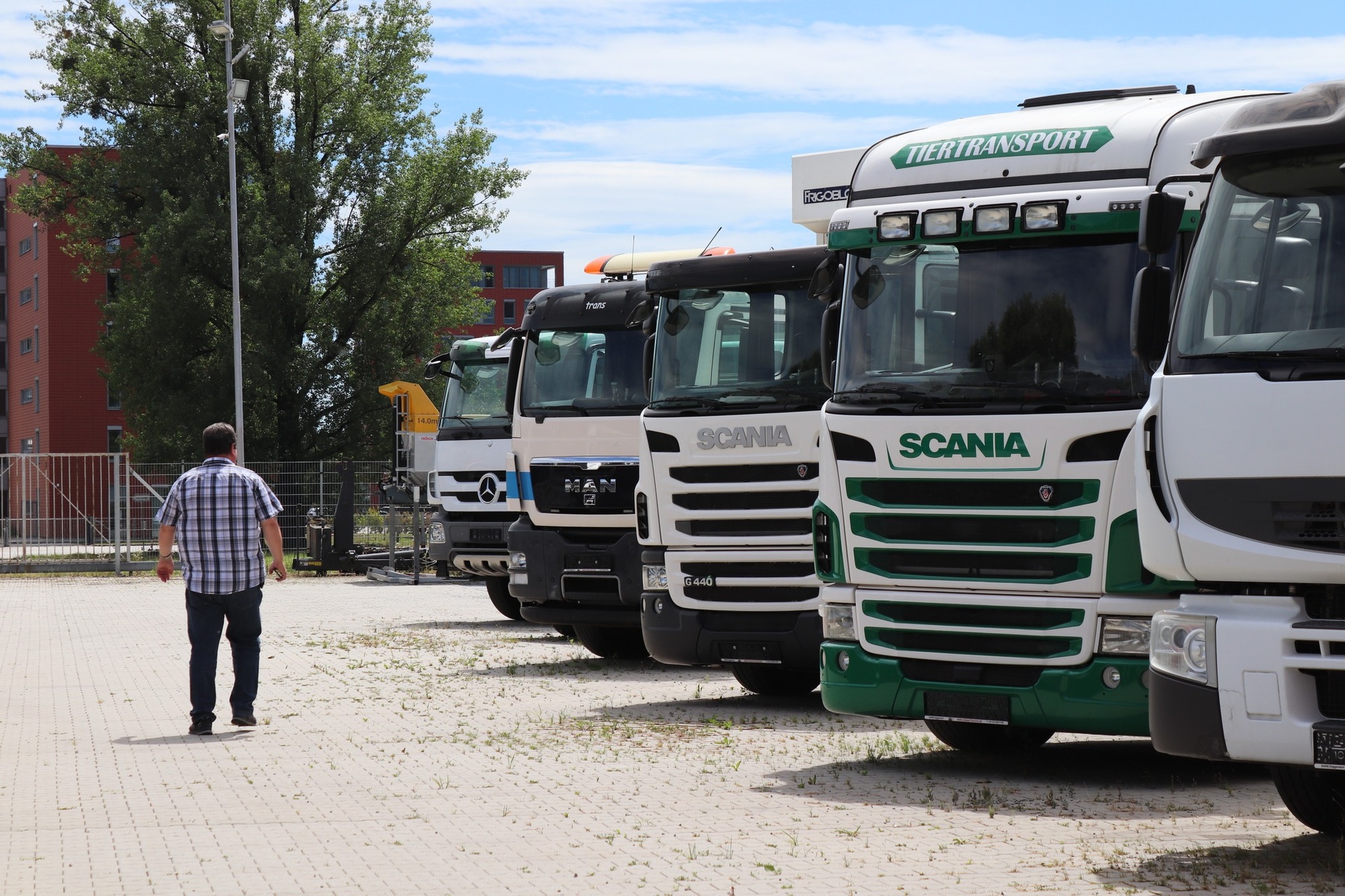 Donau Trucks GmbH undefined: das Bild 3