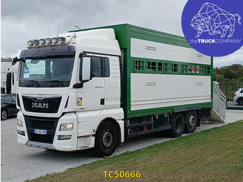 MAN TGX Tiertransporter LKW