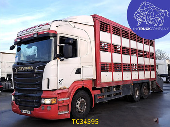 SCANIA R 500 Tiertransporter LKW