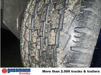 Tieflader Anhänger Für die Beförderung von schwere Technik Brian James CarGO Connect, Plane, Winde: das Bild 5