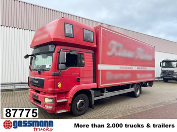 MAN TGM 15.290 Koffer LKW