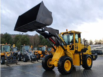 XCMG ZL30G Radlader