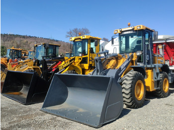 XCMG ZL30G Radlader