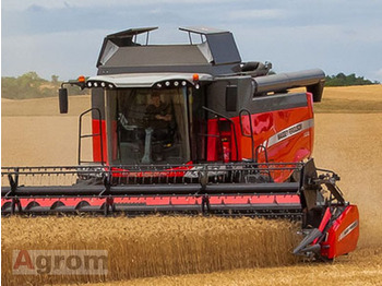 MASSEY FERGUSON Mähdrescher